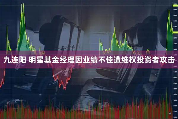 九连阳 明星基金经理因业绩不佳遭维权投资者攻击