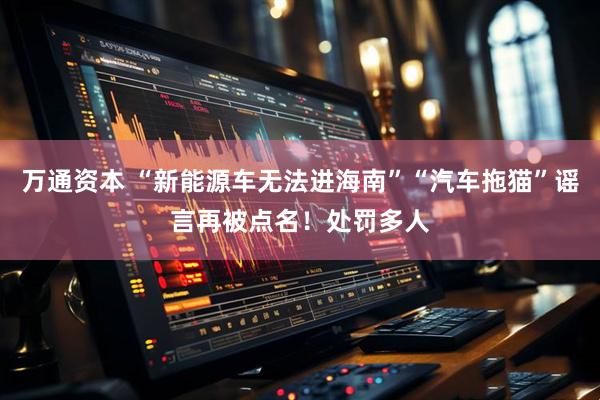 万通资本 “新能源车无法进海南”“汽车拖猫”谣言再被点名！处罚多人